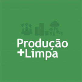 IX SEMINÁRIO SOBRE PRODUÇÃO MAIS LIMPA IX SEMINÁRIO SOBRE PRODUÇÃO MAIS LIMPA