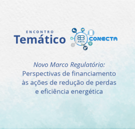 NOVO MARCO REGULATÓRIO: PERSPECTIVAS DE FINANCIAMENTO ÀS AÇÕES DE REDUÇÃO DE PERDAS E EFICIÊNCIA ENERGÉTICA NOVO MARCO REGULATÓRIO: PERSPECTIVAS DE FINANCIAMENTO ÀS AÇÕES DE REDUÇÃO DE PERDAS E EFICIÊNCIA ENERGÉTICA